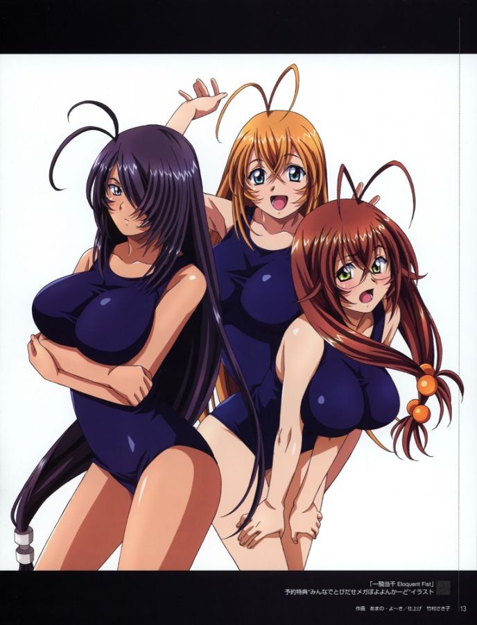 Ikki_tousen_20110828_198.jpg